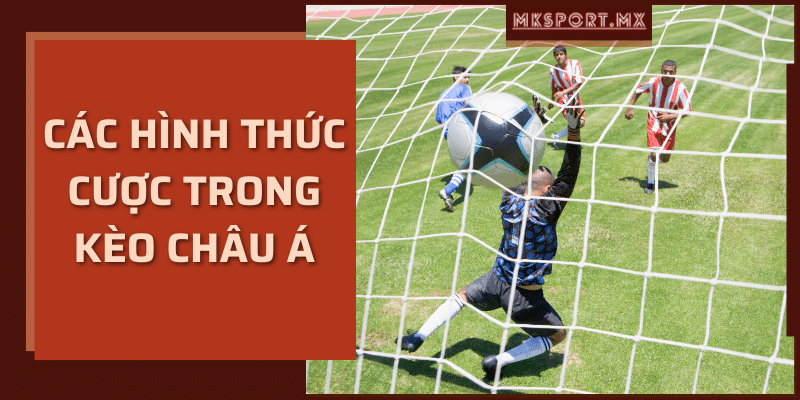 Các hình thức cược trong kèo châu Á