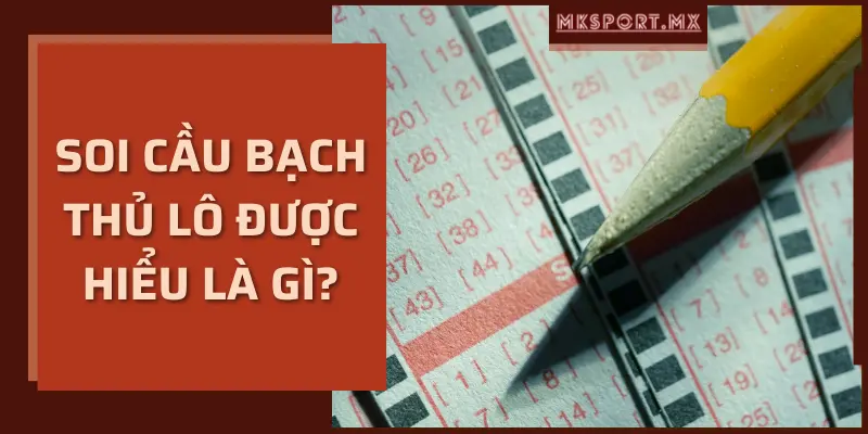 Soi cầu bạch thủ lô được hiểu là gì?